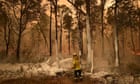 NSW coroner calls for overhaul of firefighting systems after black summer bushfires