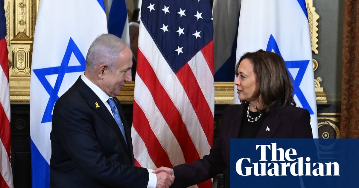Democrats’ Gaza reckoning: how failing to give Palestinians a voice came back to bite the party
