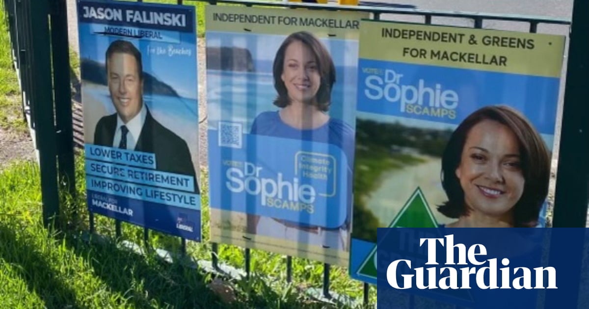 AEC investigates fake election signs suggesting independent candidates are Greens members