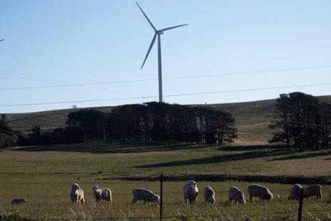 Sheep graze under a wind turbine near Lake George, north-east of Canberra. 