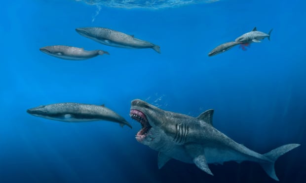 Tubarões Megalodon comendo baleias no oceano