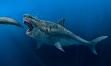 An artist’s impression of megalodon based on current perceptions of its body shape