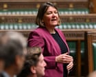 Greens must avoid ‘capture by extremists and racists’, says party MP