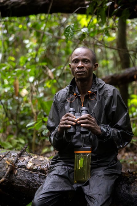A man sits on a tree trunk holding binoculars
