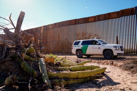 A border patrol vehicle stops nearby an organ pipe plant destroyed by border wall construction in Organ Pipe National Monument.