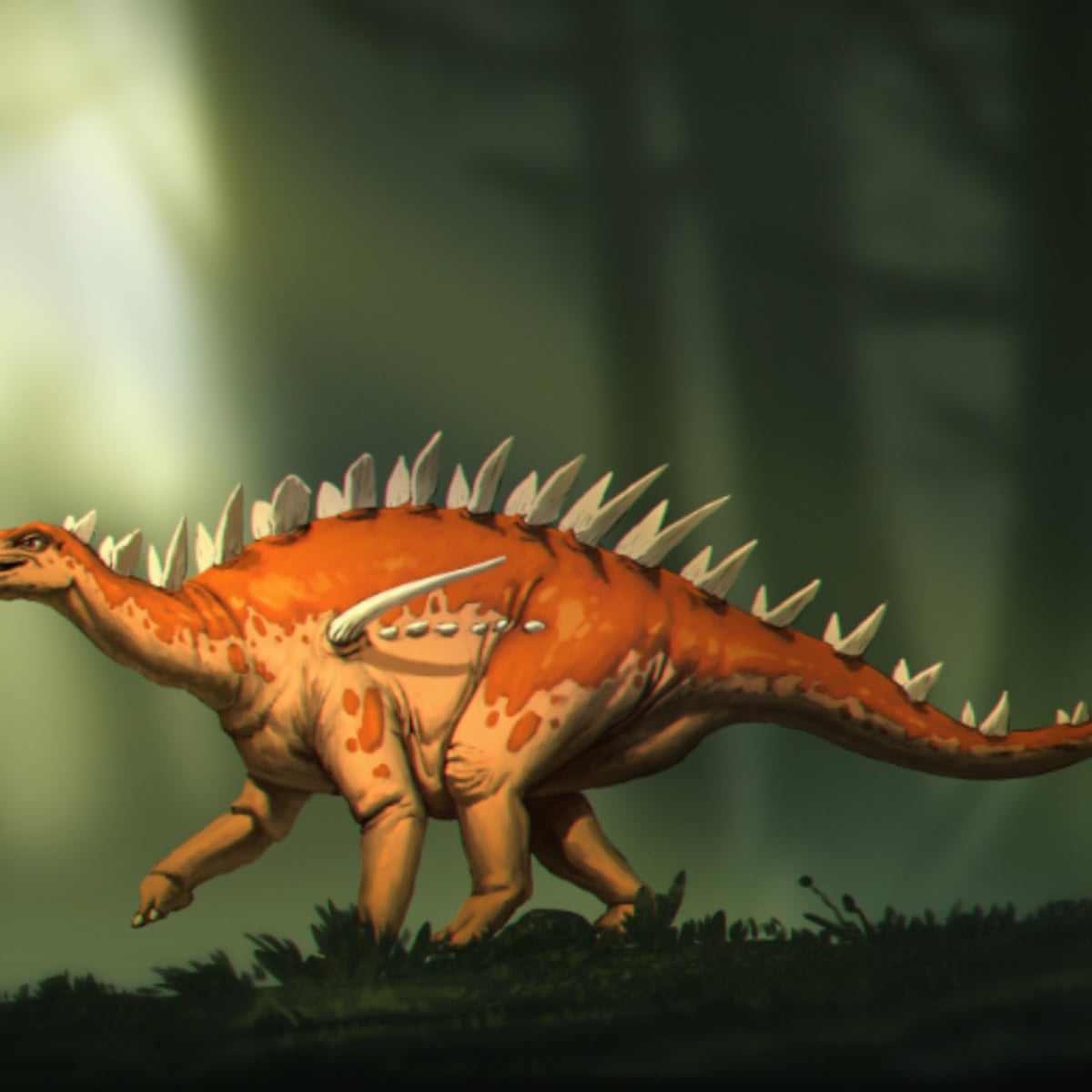 Early Stegosaur Fossils May Shed Light On Stegosaurus Evolution Dinosaurs The Guardian Early Stegosaur Fossils May Shed Light On Stegosaurus Evolution Dinosaurs The Guardian