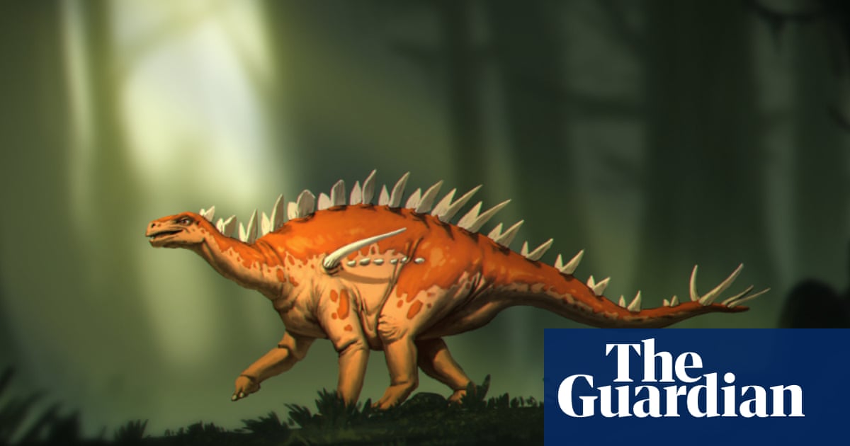 Early stegosaur fossils may shed light on stegosaurus evolution