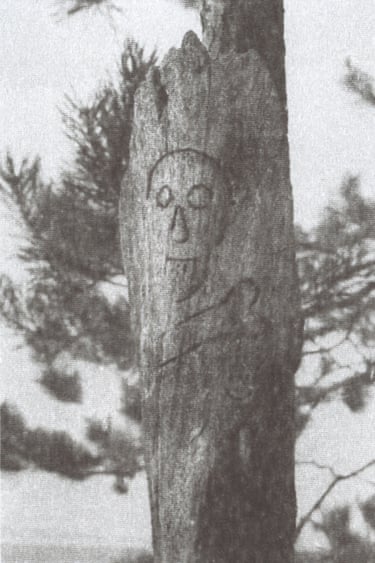 A skull carved into a tree
