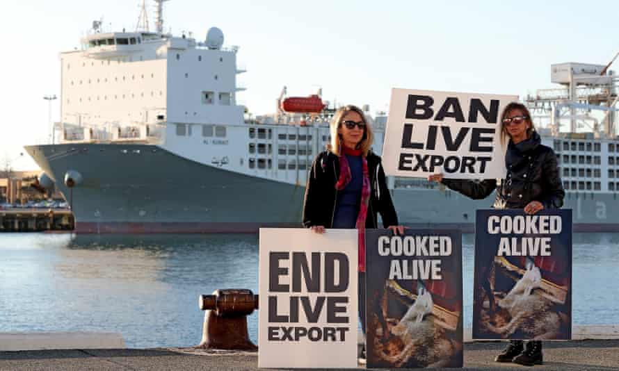 Ludzie protestują za lepszym dobrostanem zwierząt w Australii Zachodniej