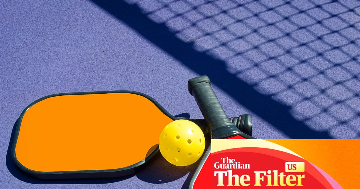 The best beginner pickleball gear, according to pros