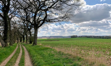 Views from the Oxdrove Way, near Alresford
