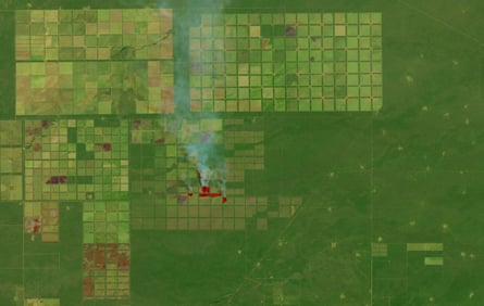 An image of fields and forests in the Salta province of northern Argentina. The image shows fires burning in some sections of the grid, probably lit by land managers trying to clear shrubs and trees to make room for livestock, timber, or crops.
