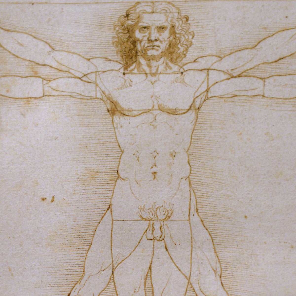 Leonardo Da Vinci Work Too Fragile To Be Transported To France Leonardo Da Vinci The Guardian Leonardo Da Vinci Work Too Fragile To Be Transported To France Leonardo Da Vinci The Guardian