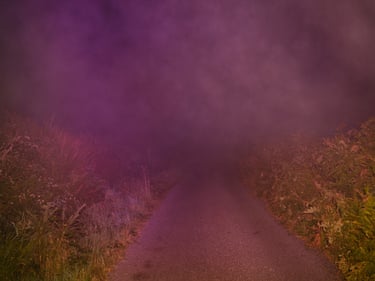 ‘Delving into themes of folklore has become the expression of that interest in my artistic work. Written history is often about the big brush strokes of the power players, with regular people like ourselves often reduced to statistics and footnotes. Folklore could be described as the traditional beliefs, customs, and stories of a community, passed through the generations by word of mouth. Folklore allows us to zoom in on the history of the everyman.’