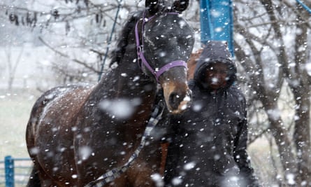 A man leads a horse as snow falls in Delta Park, Johannesburg