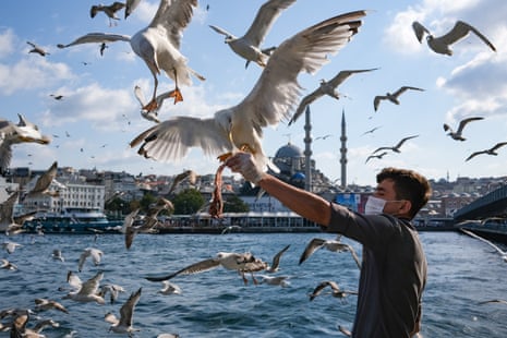 A man feeds seagulls with fish amid the ongoing coronavirus pandemic in Istanbul, Turkey, on 12 September 2020.