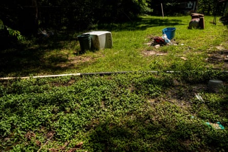 a grassy patch of land