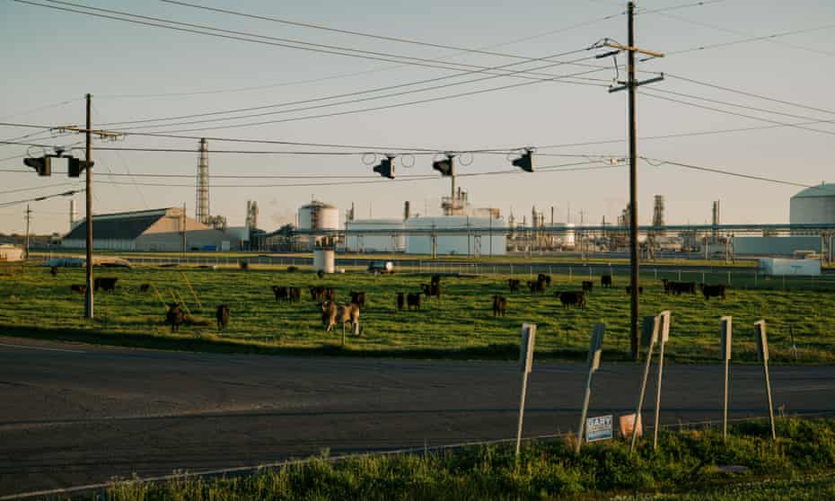 Campaign signs for Gary Chambers and Troy Carter are seen at an intersection in Donaldsonville, in the heart of the area in Louisiana known as Cancer Alley. CF Industries fertilizer plant is seen on the horizon.