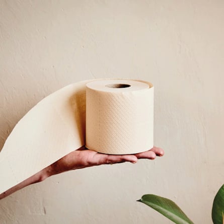 A roll of Naked Paper unbleached bamboo toilet paper sits on an outstretched hand in front of a plant