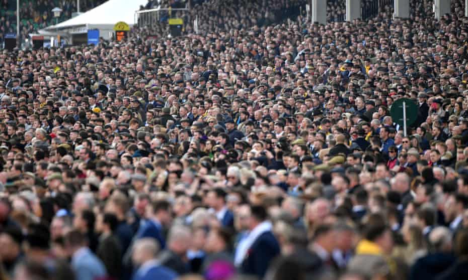 Crowds at Cheltenham racecourse last year
