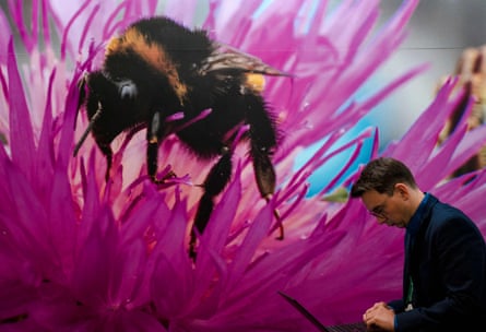 man sits in front of big photo of a bee