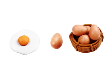 eggs