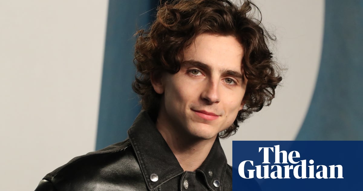 Timothée Chalamet’s West End debut cancelled after two years of postponements