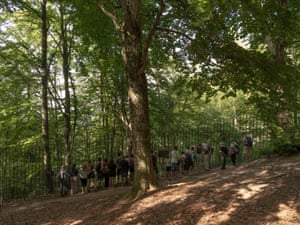Tourists in woods