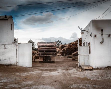 A truck with logs loaded on to it pulling into a yard with huge mounds of logs off to one side