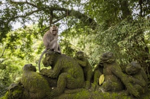 A monkey makes use of a statue at the Sacred Monkey Forest sanctuary in Bali, Indonesia