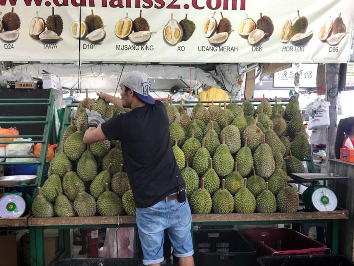 Durian udang price merah Harga Durian