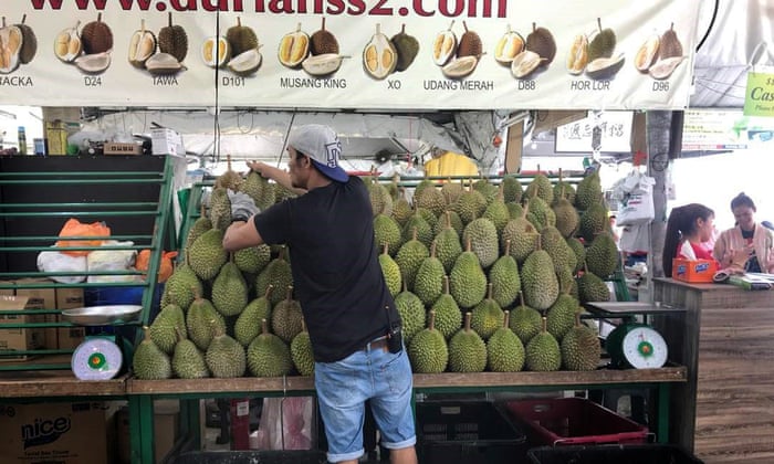 Durian The Foul Smelling Fruit That Could Make Malaysia Millions