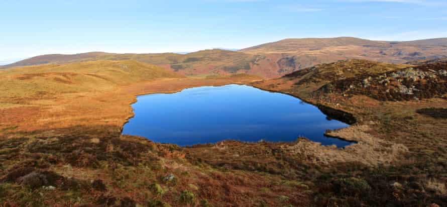 Llyn Barfog