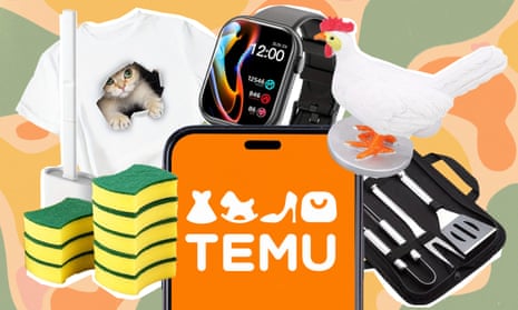 Objects from the Temu website. 