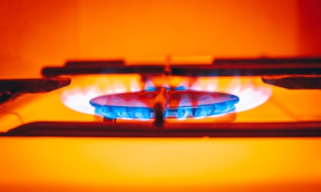 With gas and electricity prices escalating, experts believe the public would welcome energy-saving advice.