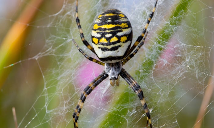 The Ultimate Lovely Legs Competition The World S Nine Most