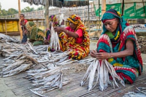 Women dry fish in the fish yard at Cox's Bazar