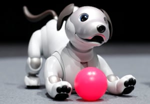 Image result for aibo