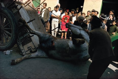 Horse pulling a cart over on a street full of people in Málaga, Spain, 1967.