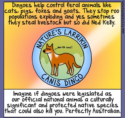 First Dog on the Moon cartoon called Dingoes 1000 Years, panel 3