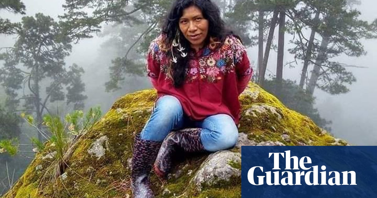 Mexican environmental campaigner missing after attack on villagers