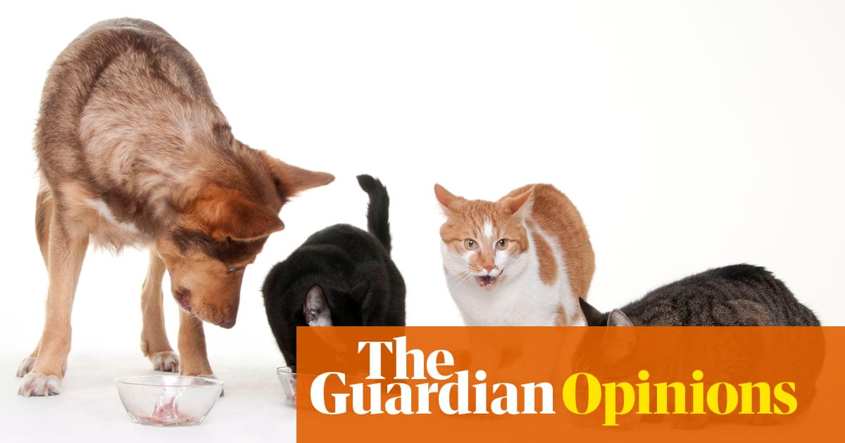 The pandemic is a good time to be in the cat food business – and many others