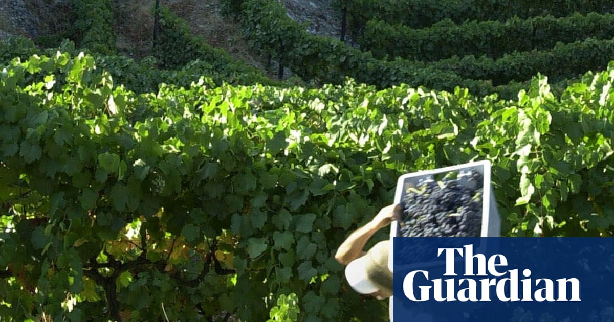 Why Portuguese red blends fly off the shelves | Hannah Crosbie on drinks