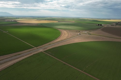 Aerial photo of vast flat valley with fields of crops stretching into the distance
