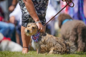A contestant in a dog show at Nansledan, the Prince of Wales’s Duchy of Cornwall housing development in Newquay