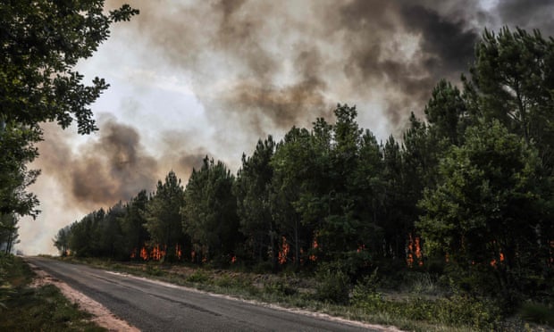 A forest fire near Louchats in Gironde.