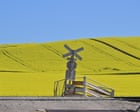 NSW bumper canola crops shine on – in pictures