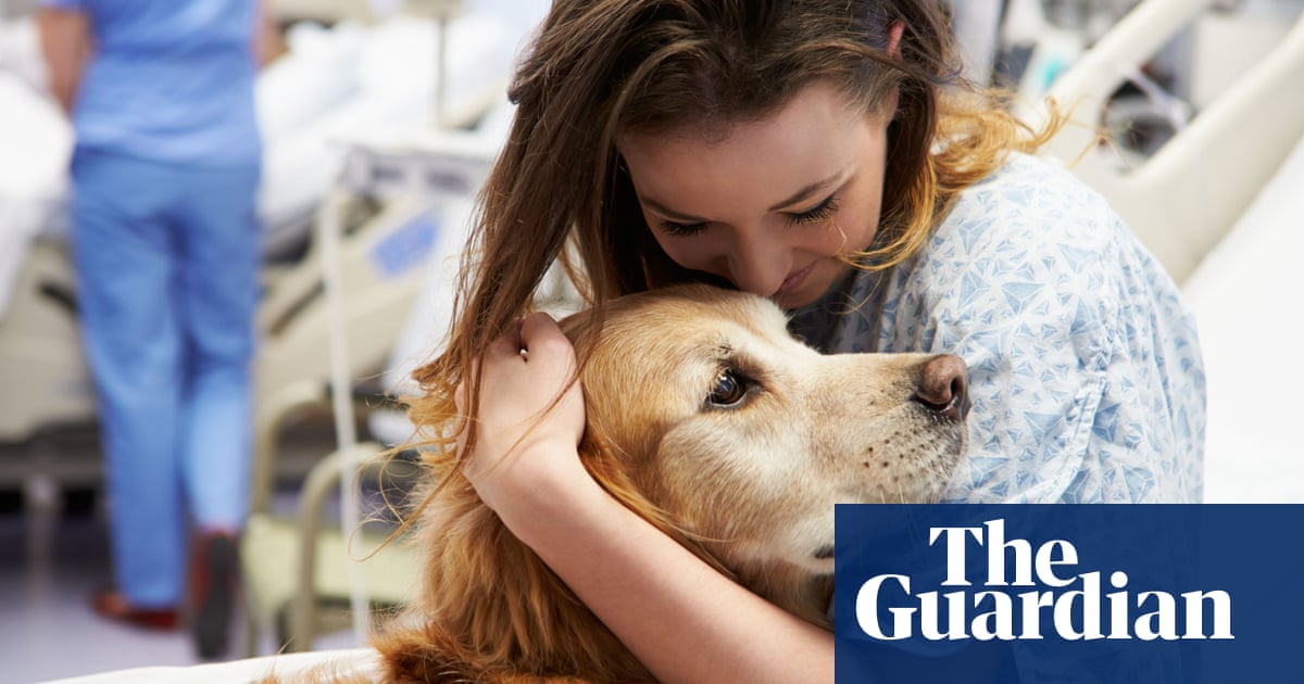 Dogs Have A Magic Effect How Pets Can Improve Our Mental Health Society The Guardian