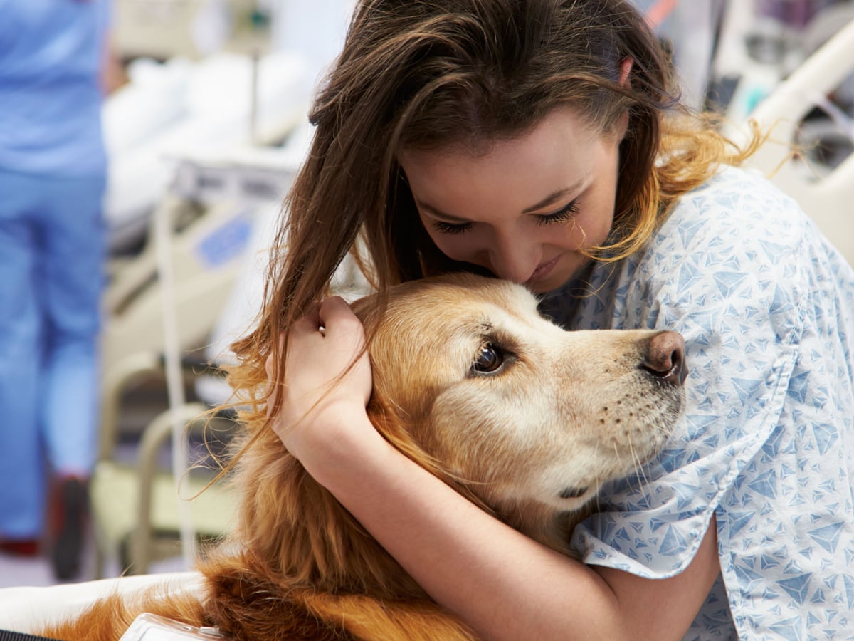 Dogs have a magic effect': how pets can improve our mental health ...