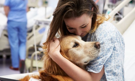 A therapy dog visiting a young patient in hospital